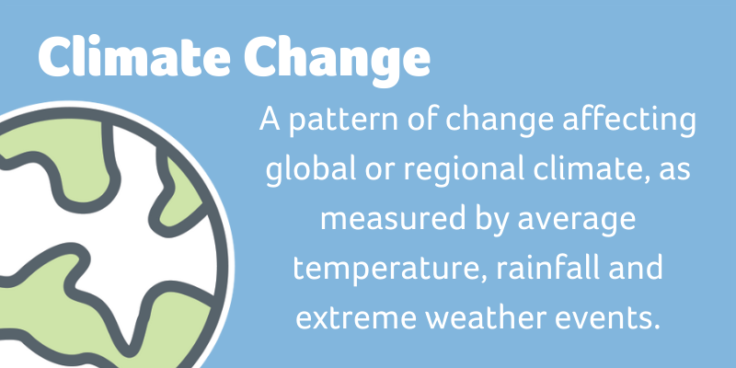 Babble Buster: What Is Climate Change?