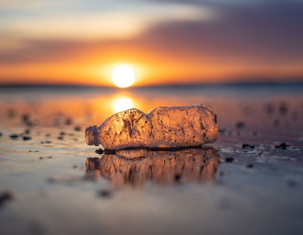 what-is-the-difference-between-biodegradable-and-degradable