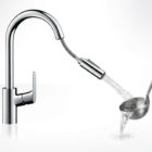 hansgrohe Focus with Pull-out Spray Single Lever Swivel Spout 240 ...